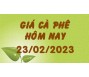 Giá cà phê hôm nay 23/2