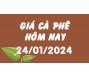 Giá cà phê hôm nay 24/1