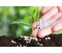 Doanh nghiệp phân bón tìm đường mở rộng thị phần NPK khi thị trường urê bão hòa