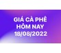 Giá cà phê hôm nay 18/8