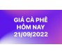 Giá cà phê hôm nay 21/9