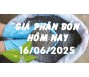 Giá phân bón ngày 16/6/25