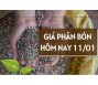 Giá phân bón hôm nay 11/1