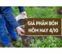 Giá phân bón hôm nay 4/10/2023