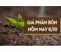 Giá phân bón hôm nay 6/10/2023