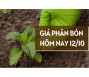Giá phân bón hôm nay 12/10