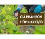 Giá phân bón hôm nay 13/10