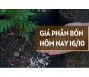 Giá phân bón hôm nay 16/10