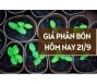 Giá phân bón hôm nay 21/9/2023