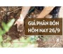 Giá phân bón hôm nay 26/9/2023