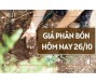 Giá phân bón hôm nay 26/10