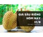 Giá sầu riêng hôm nay 31/8/2023