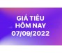 Giá tiêu hôm nay 7/9