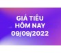 Giá tiêu hôm nay 9/9