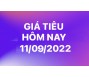 Giá tiêu hôm nay 11/9