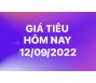 Giá tiêu hôm nay 12/9