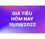 Giá tiêu hôm nay 15/9