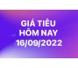 Giá tiêu hôm nay 16/9
