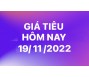 Giá tiêu hôm nay 19/11