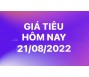 Giá tiêu hôm nay 21/8