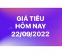 Giá tiêu hôm nay 22/9