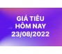 Giá tiêu hôm nay 23/8