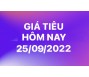 Giá tiêu hôm nay 25/9