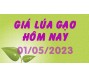 Giá lúa gạo hôm nay 1/5