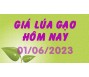 Giá lúa gạo hôm nay 1/6