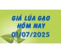 Giá lúa gạo hôm nay 1/7/25