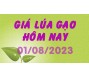 Giá lúa gạo hôm nay 1/8