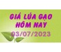 Giá lúa gạo hôm nay 3/7