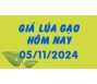 Giá lúa gạo hôm nay 5/11