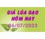 Giá lúa gạo hôm nay 6/7