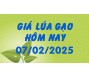 Giá lúa gạo hôm nay 7/2/25