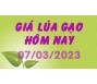 Giá lúa gạo hôm nay 7/3