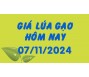 Giá lúa gạo hôm nay 7/11