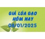 Giá lúa gạo hôm nay 8/1/25