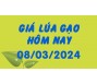 Giá lúa gạo hôm nay 8/3