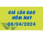 Giá lúa gạo hôm nay 8/4