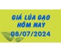 Giá lúa gạo hôm nay 8/7