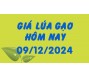 Giá lúa gạo hôm nay 9/12