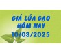 Giá lúa gạo hôm nay 10/3/25