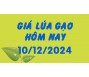 Giá lúa gạo hôm nay 10/12