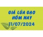 Giá lúa gạo hôm nay 11/7