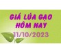 Giá lúa gạo hôm nay 11/10