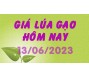 Giá lúa gạo hôm nay 13/6