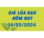 Giá lúa gạo hôm nay 14/3
