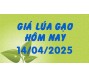 Giá lúa gạo hôm nay 14/4/25