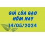 Giá lúa gạo hôm nay 14/5